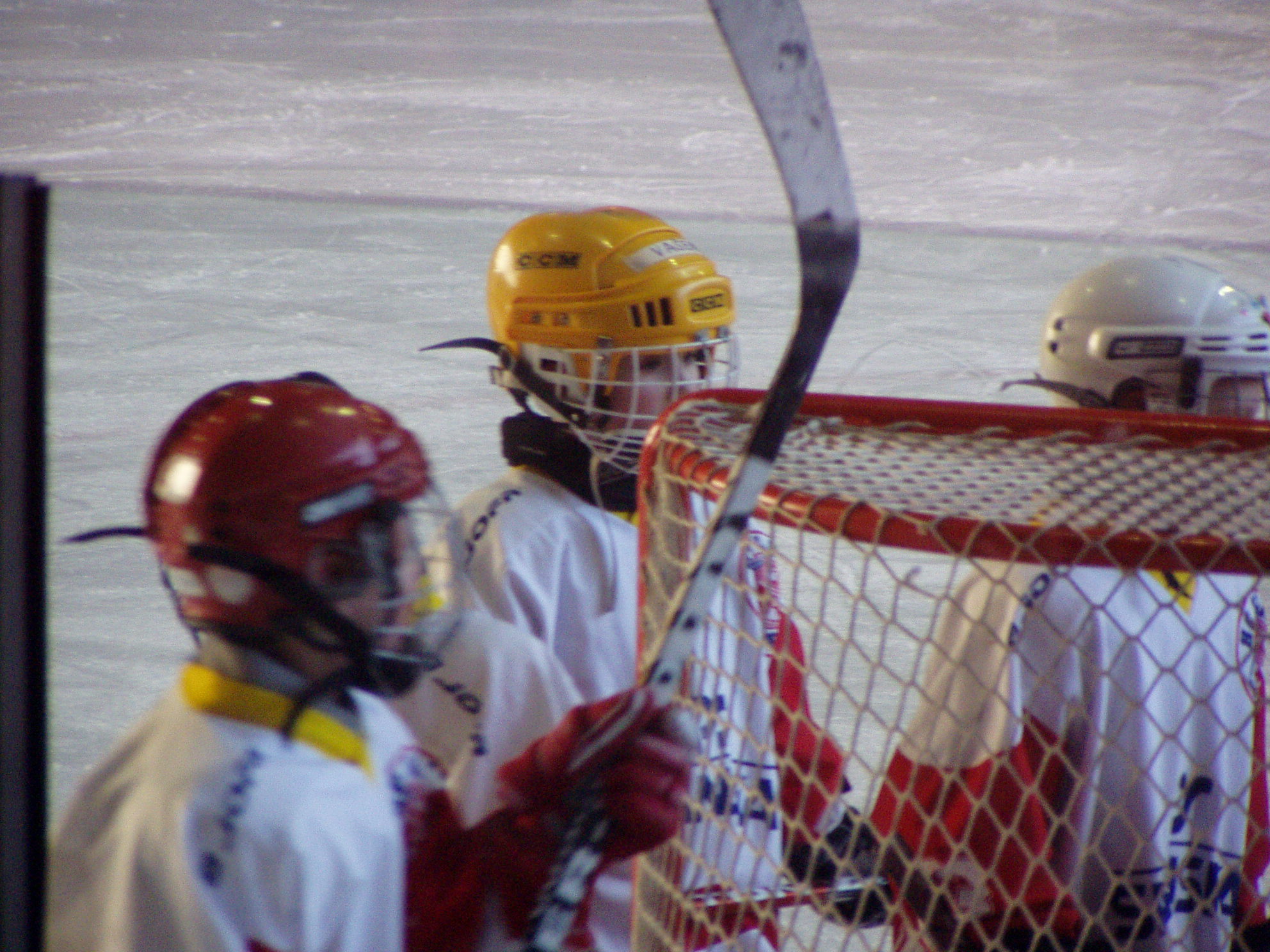 P1010020.JPG