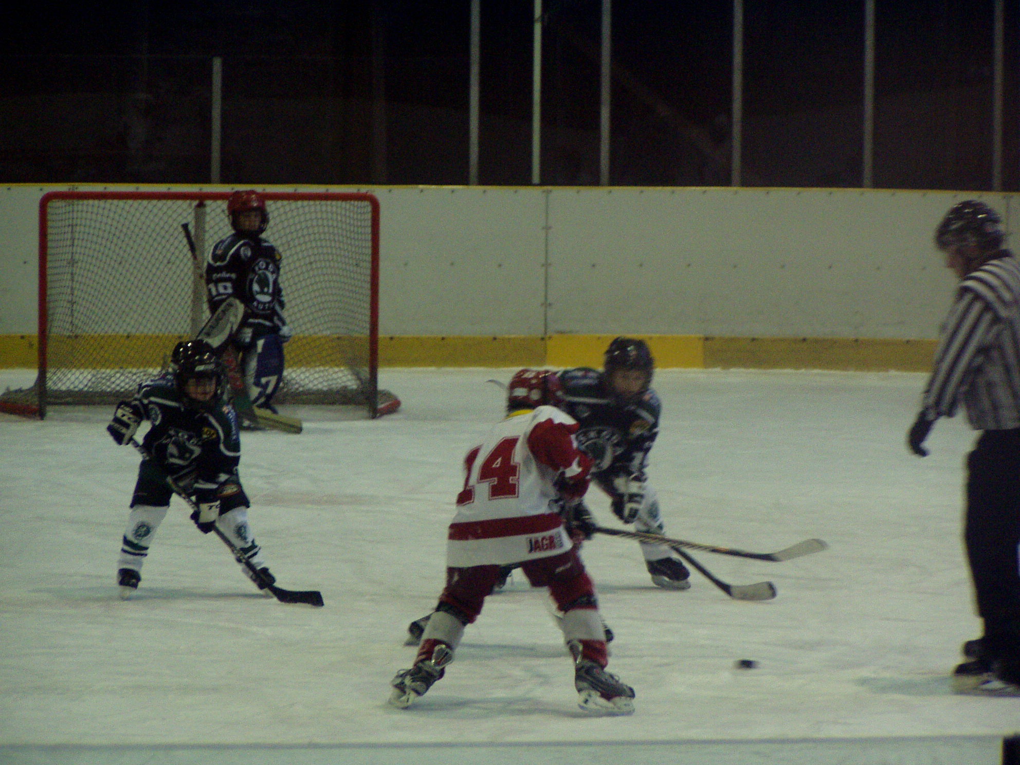 P1010022.JPG