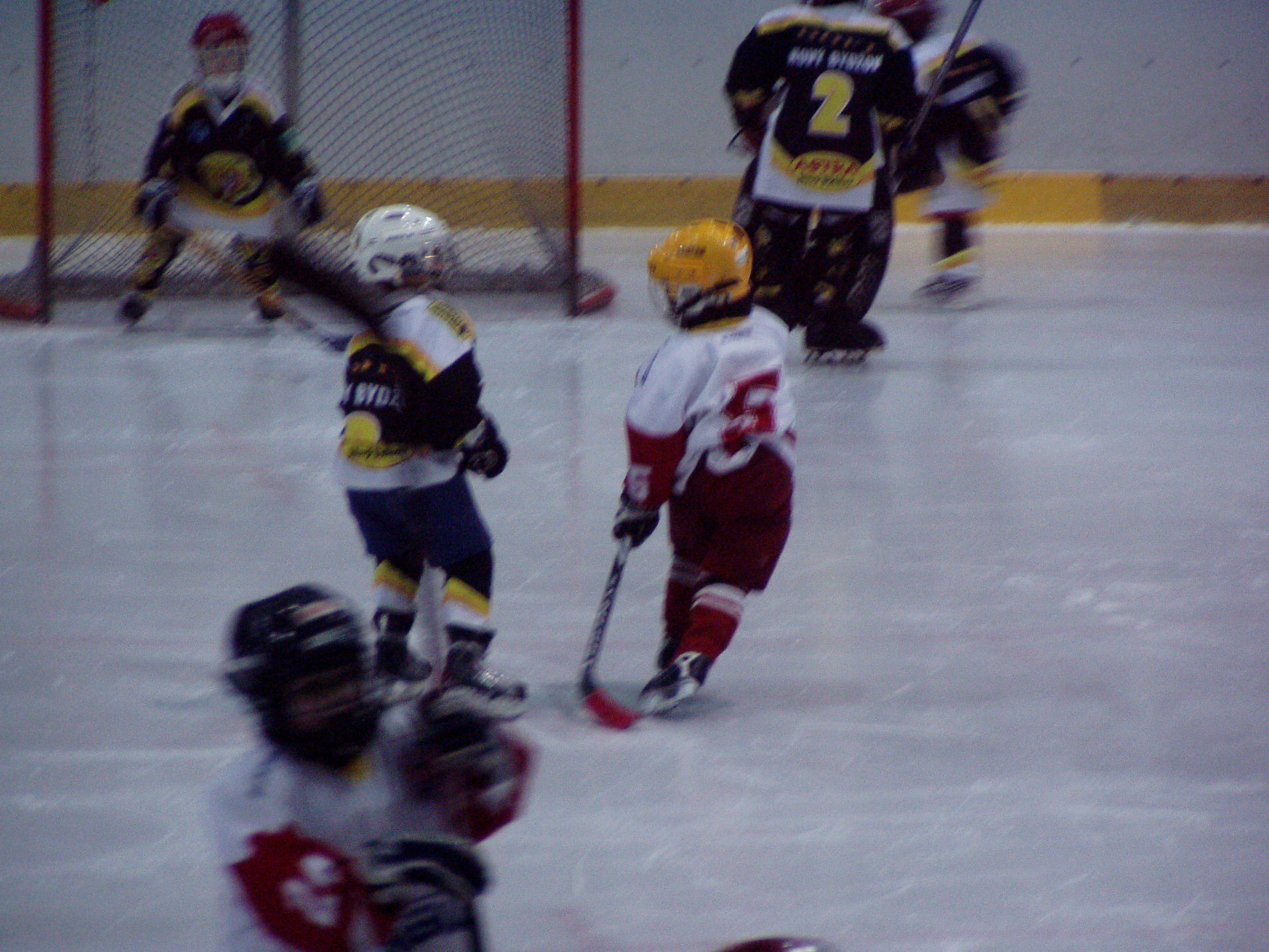 P1010031.JPG