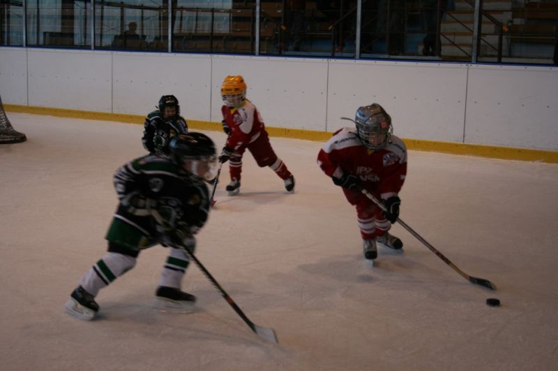 20050.jpg