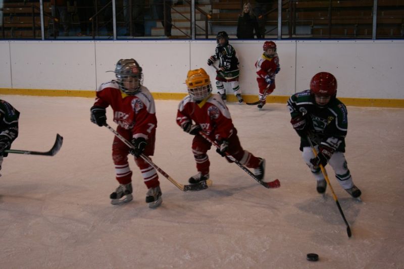 20055.jpg